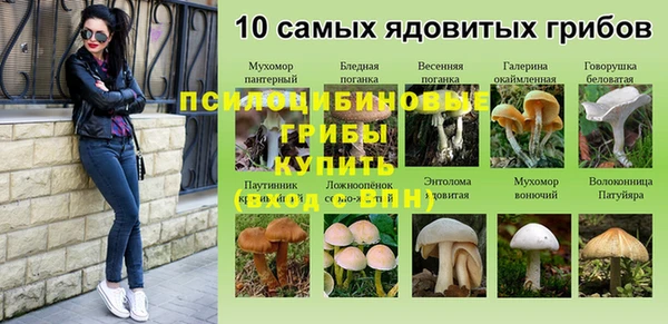 соль ск Белокуриха