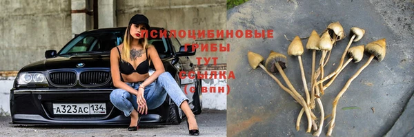 мяу мяу мука Белоозёрский