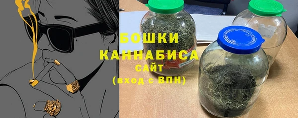 соль ск Белокуриха