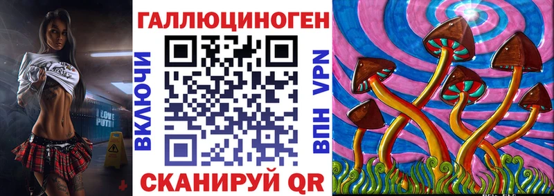 Галлюциногенные грибы Cubensis  Среднеуральск 