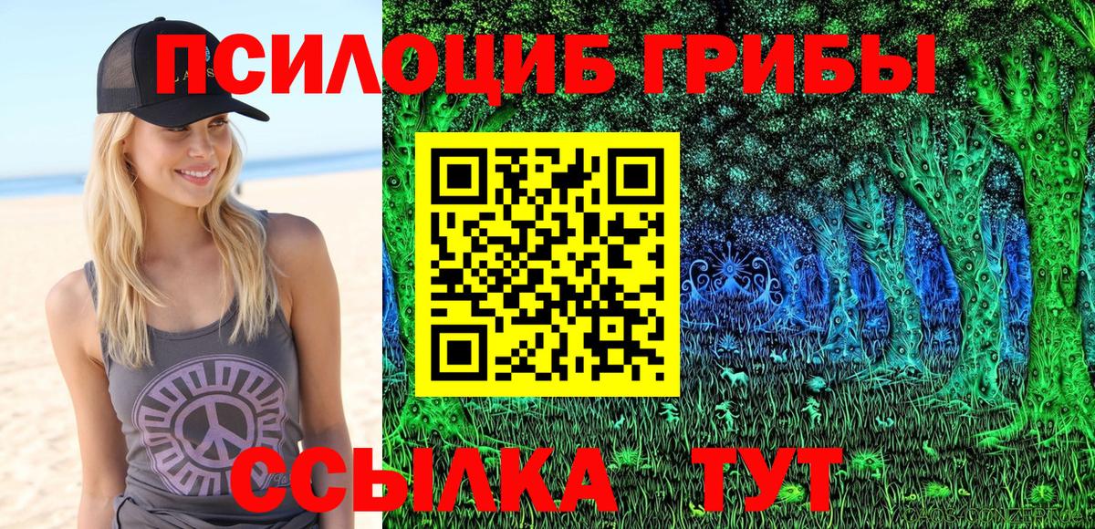 Галлюциногенные грибы Psilocybine cubensis  Вход с VPN  Среднеуральск 